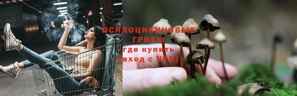 mdpv Алзамай