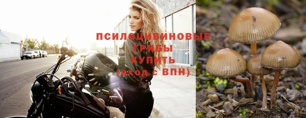 mdpv Алзамай